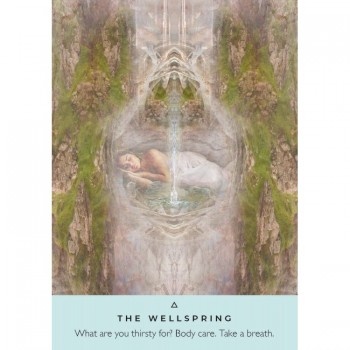 Kosmetinis defektas Healing Waters Oracle kortos Hay House